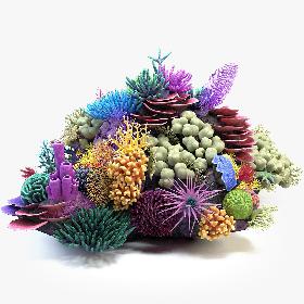 Coral Reef 01 3D